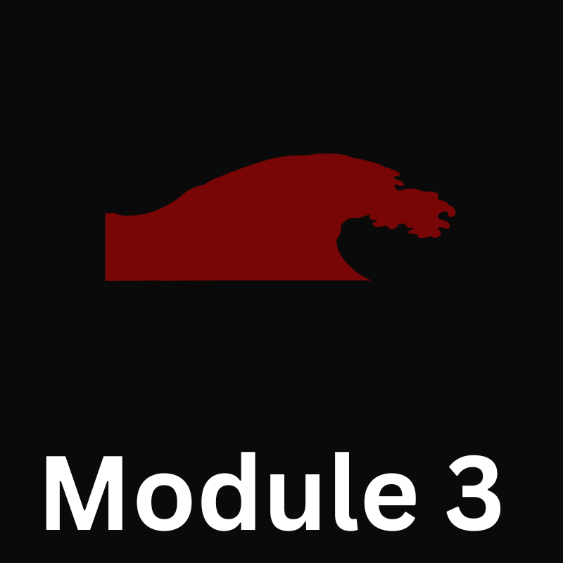 Module 03: Quick Rinse vs Ongoing Extraction - Pay Pig Academy Financial Domination Psychology